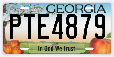 GA license plate PTE4879