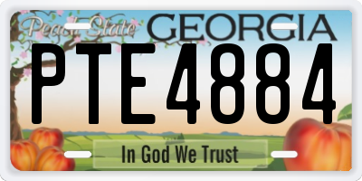 GA license plate PTE4884