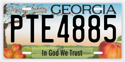GA license plate PTE4885