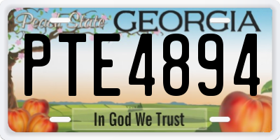 GA license plate PTE4894