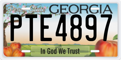 GA license plate PTE4897