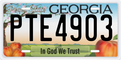 GA license plate PTE4903