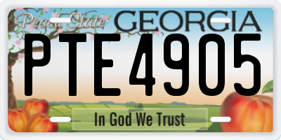 GA license plate PTE4905