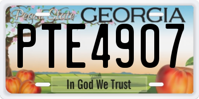 GA license plate PTE4907