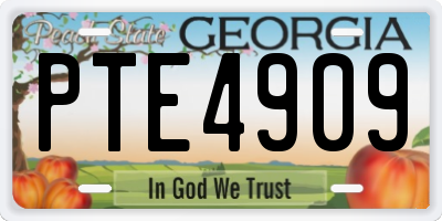 GA license plate PTE4909