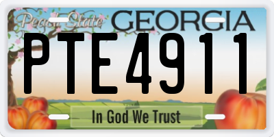 GA license plate PTE4911