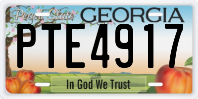 GA license plate PTE4917