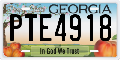 GA license plate PTE4918