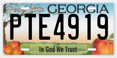 GA license plate PTE4919