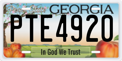 GA license plate PTE4920