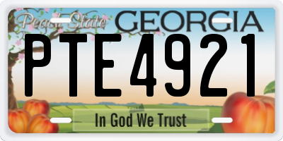 GA license plate PTE4921