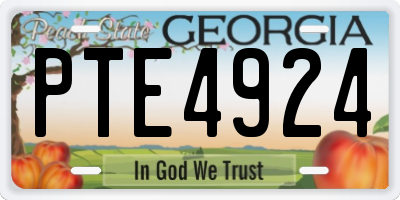 GA license plate PTE4924
