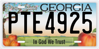 GA license plate PTE4925