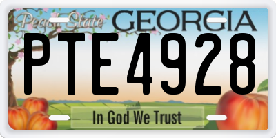 GA license plate PTE4928