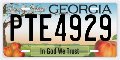 GA license plate PTE4929