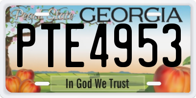 GA license plate PTE4953