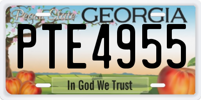 GA license plate PTE4955
