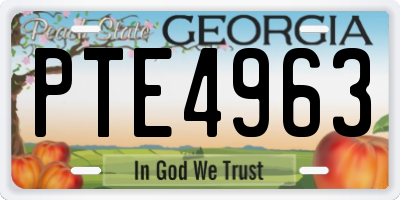 GA license plate PTE4963