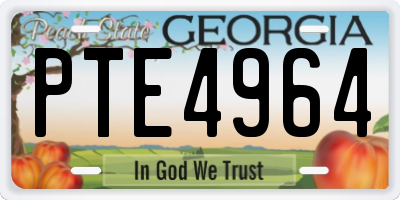 GA license plate PTE4964