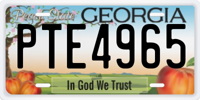 GA license plate PTE4965