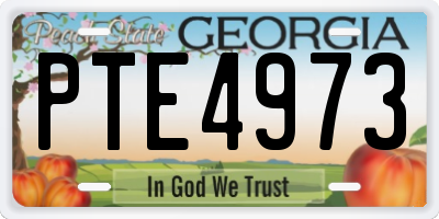 GA license plate PTE4973