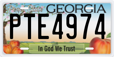GA license plate PTE4974