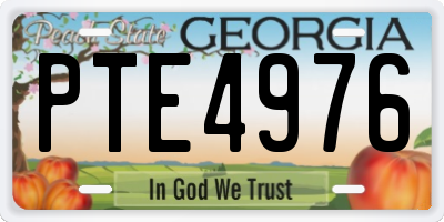 GA license plate PTE4976