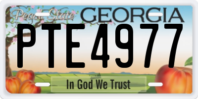 GA license plate PTE4977