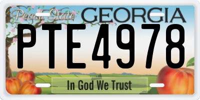 GA license plate PTE4978