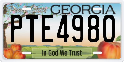 GA license plate PTE4980