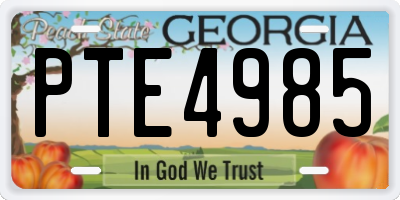 GA license plate PTE4985