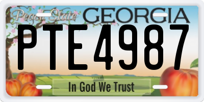 GA license plate PTE4987
