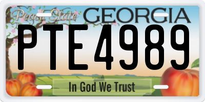 GA license plate PTE4989