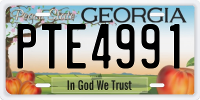 GA license plate PTE4991
