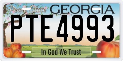 GA license plate PTE4993