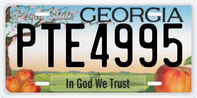 GA license plate PTE4995