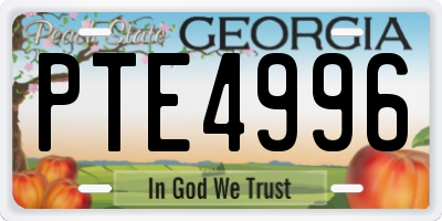 GA license plate PTE4996