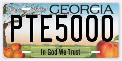 GA license plate PTE5000