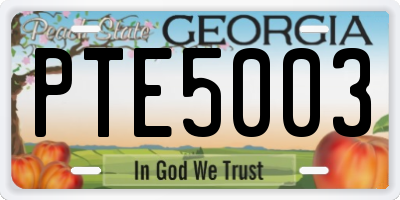 GA license plate PTE5003