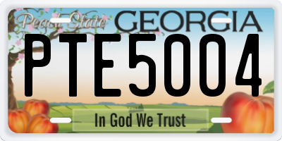 GA license plate PTE5004