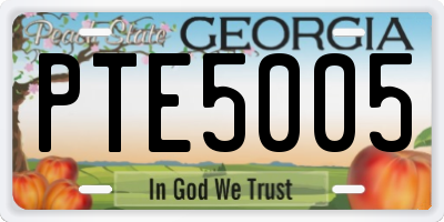 GA license plate PTE5005