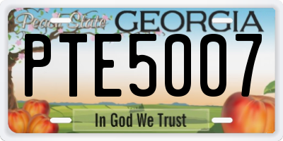 GA license plate PTE5007