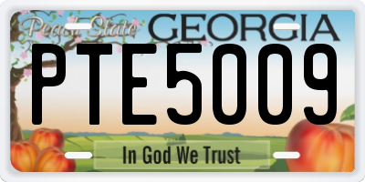 GA license plate PTE5009