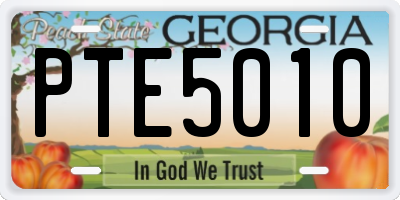 GA license plate PTE5010