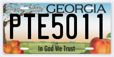 GA license plate PTE5011