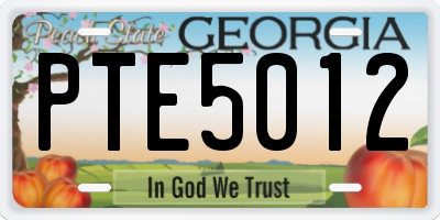 GA license plate PTE5012