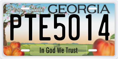 GA license plate PTE5014