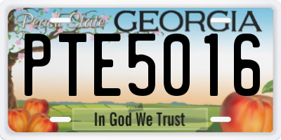 GA license plate PTE5016