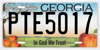 GA license plate PTE5017