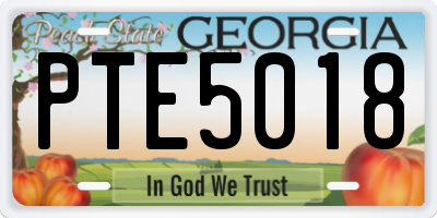 GA license plate PTE5018